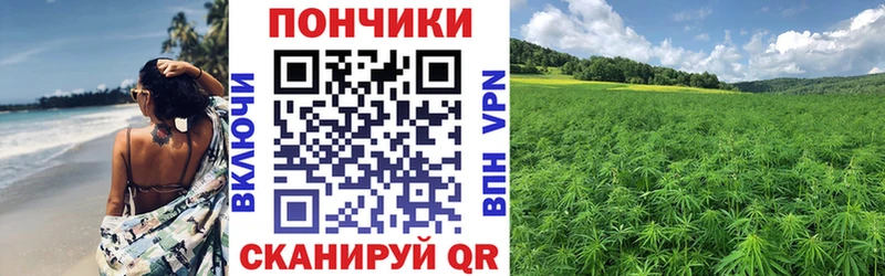 Где продают наркотики Балтийск Cocaine ГАШИШ Alpha PVP Псилоцибиновые грибы Каннабис