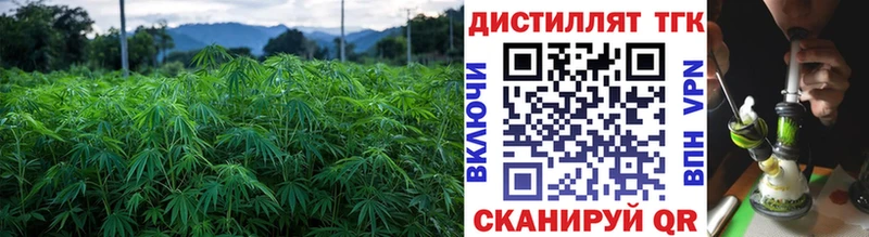 площадка клад  наркошоп  Балтийск  ТГК жижа 