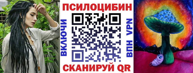 Псилоцибиновые грибы прущие грибы  Балтийск 