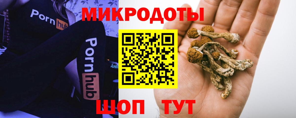 Псилоцибиновые грибы Psilocybe  где купить наркоту  Балтийск  Вход с VPN 